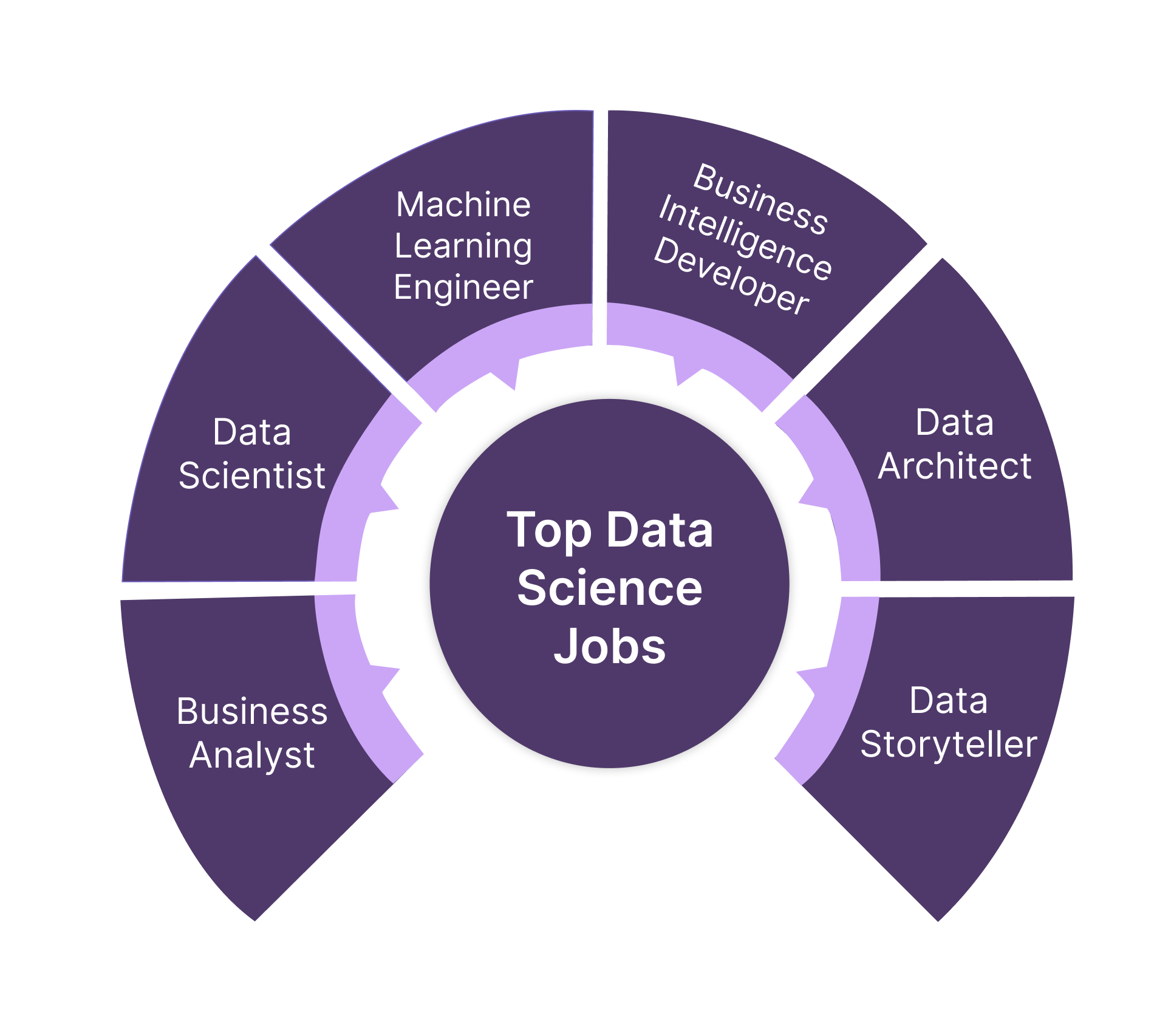 All About Your Next Data Science Interview: Roles, Responsibilities ...